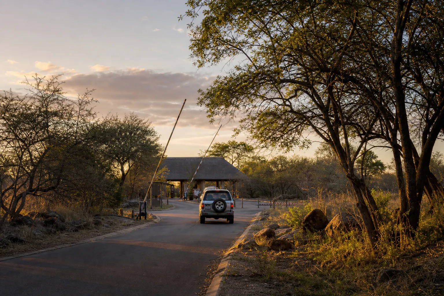 A practical safari or habitat scene related to Crocodile Bridge Gate Arrival.