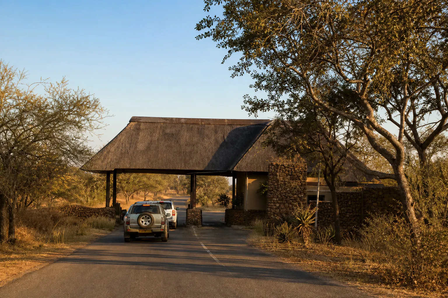 A practical safari or habitat scene related to Malelane Gate Arrival.