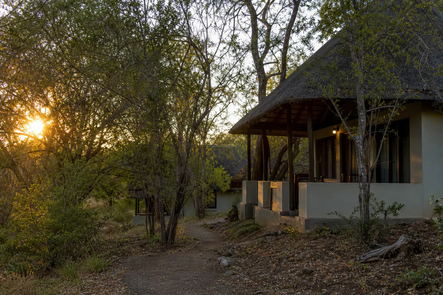A practical safari or habitat scene related to Lower Sabie Rest Camp.