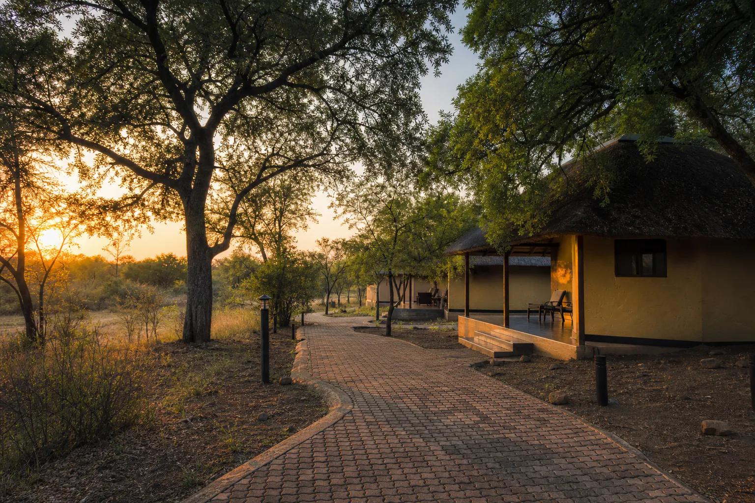 A practical safari or habitat scene related to Satara Rest Camp.