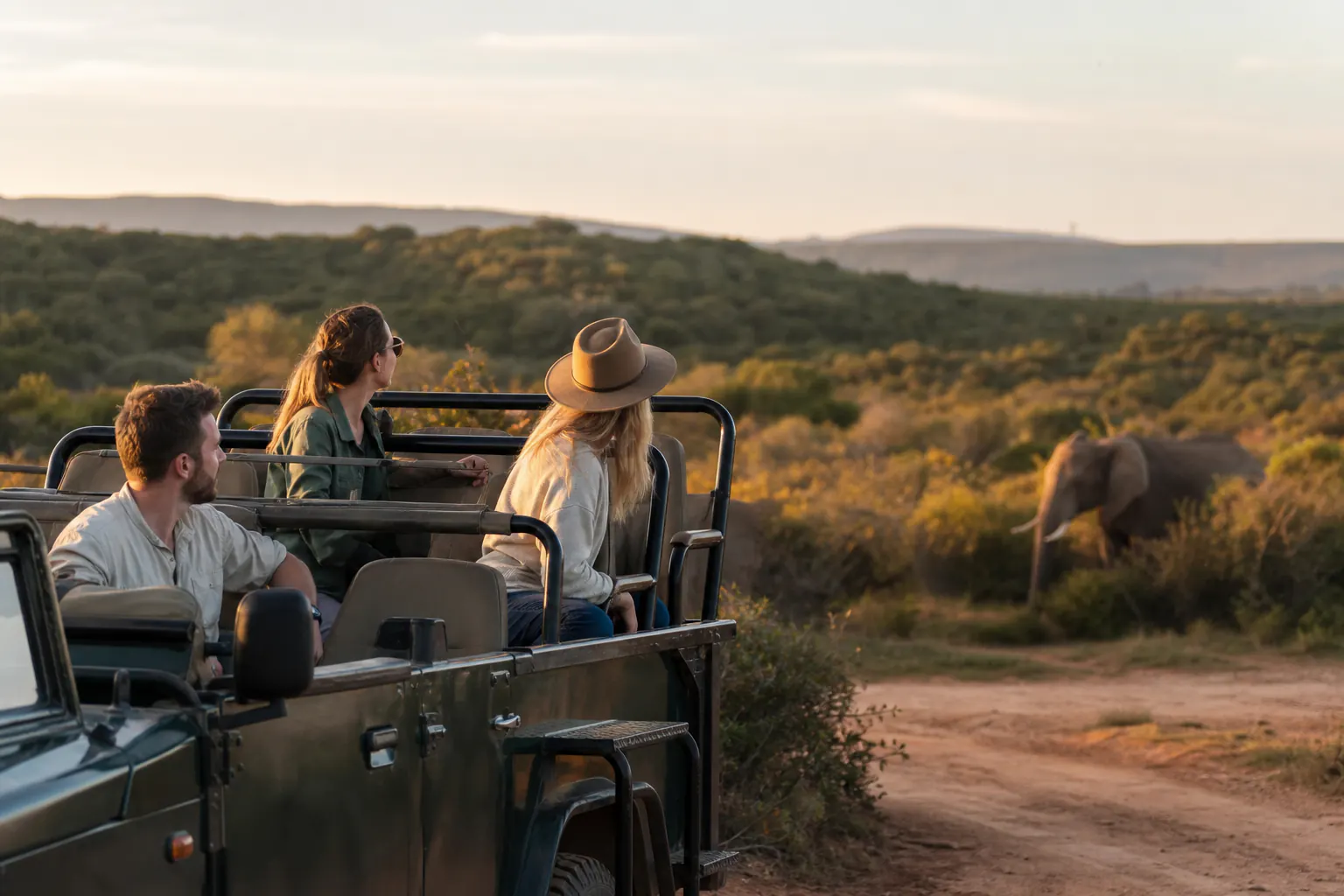 Travellers planning or travelling on a safari itinerary inspired by Garden Route and Addo Safari Itinerary.
