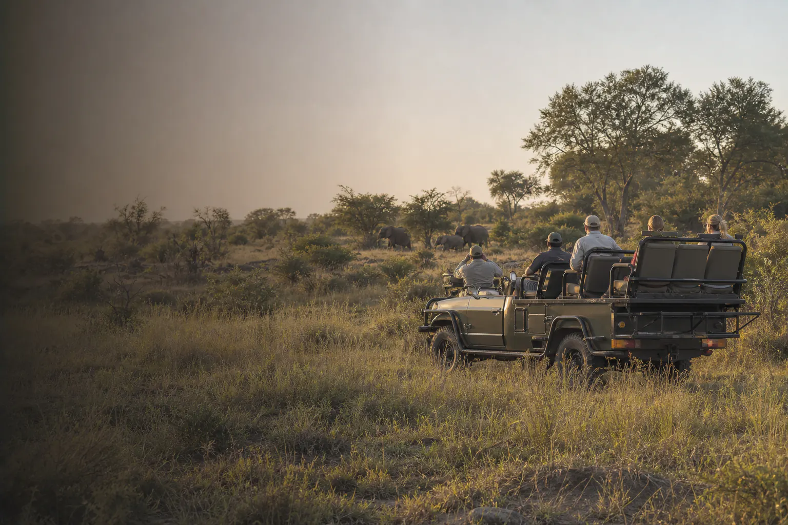 A Kruger-style bushveld scene illustrating Guided Safaris in Kruger National Park.