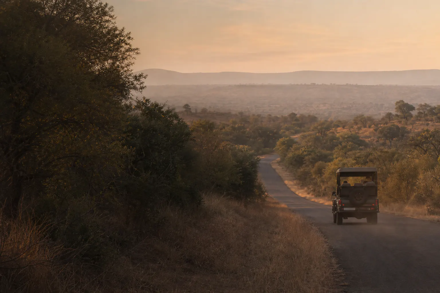 A self-drive vehicle travelling along a Kruger bushveld road.