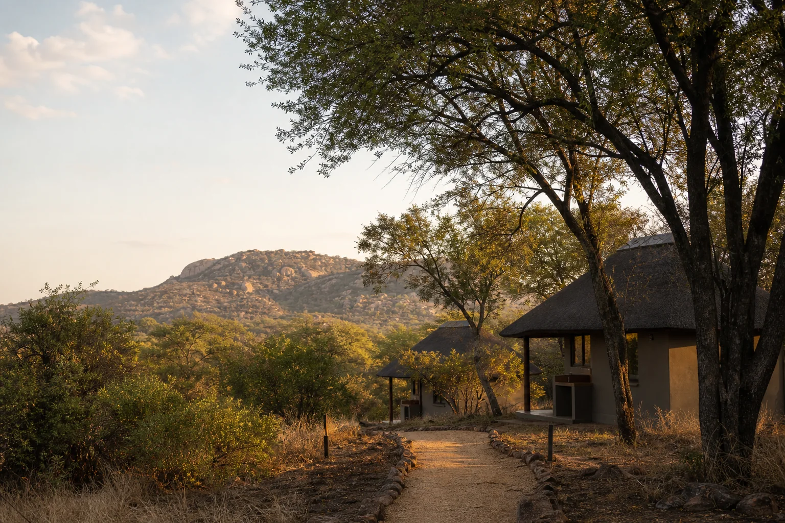 Bushveld camp accommodation beneath trees with low hills in the distance.