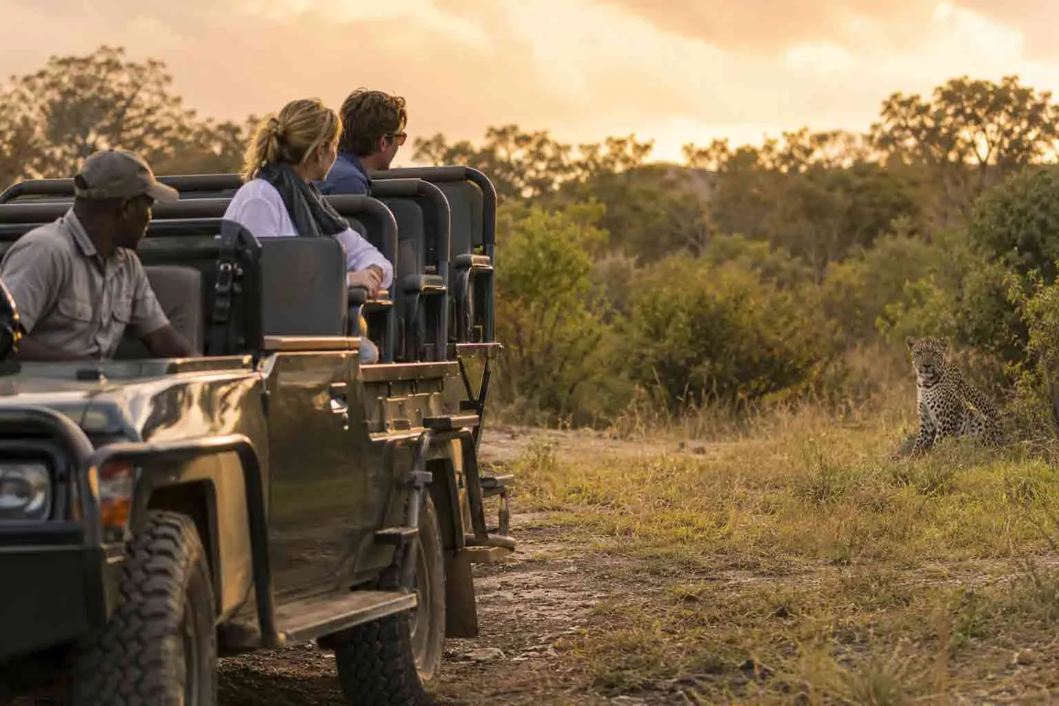Travellers on a guided safari watch a leopard sighting in South Africa.